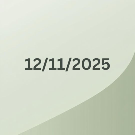 The date
                        12/11/2025 on a grey background