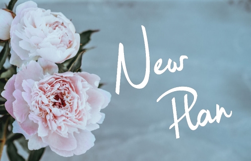 Pink Peonies on a blue background with
                        the words New Plan