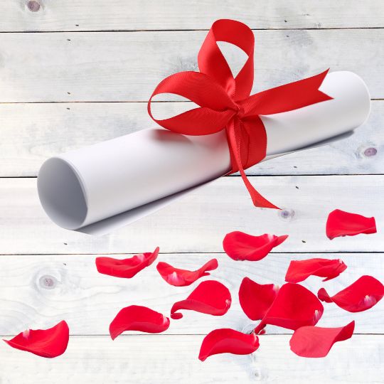 A
                      scroll tied with red ribbon lying next to
                      scattered red rose petals